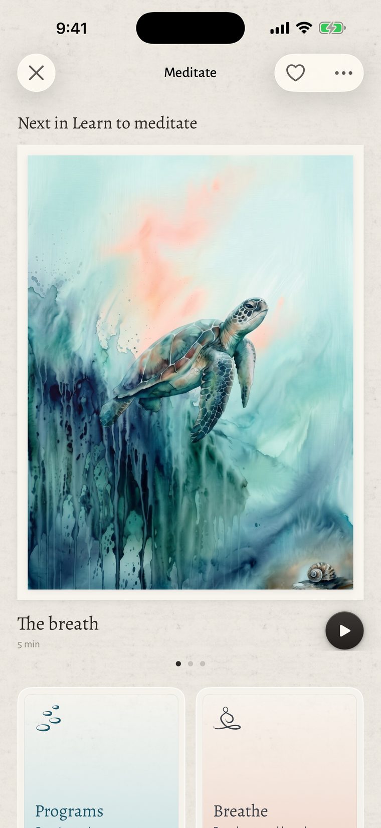 Meditate’s home: The breath, a five minute session, under a painting of a sea turtle rising through teal water, and the library’s rooms beneath.